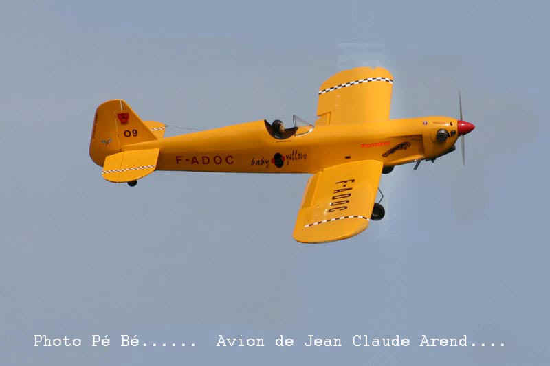 Avion voltige.jpg (45335 octets)