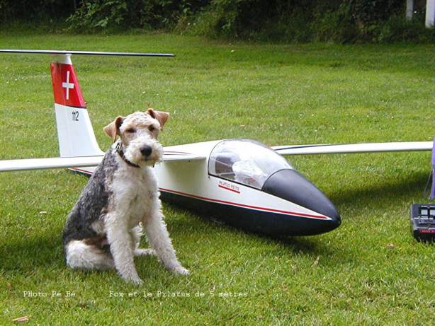 FOX et le Pilatus copie.jpg (57567 octets)